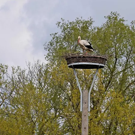Und _wohnung Unterm Ree Patzig